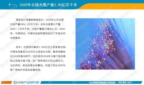 基礎(chǔ)電信業(yè)務(wù) 信息社會(huì)的基石與未來發(fā)展路徑
