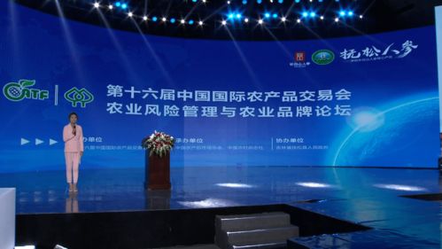 撫松縣以改革創(chuàng)新優(yōu)服務 賦能經(jīng)濟社會高質(zhì)量發(fā)展